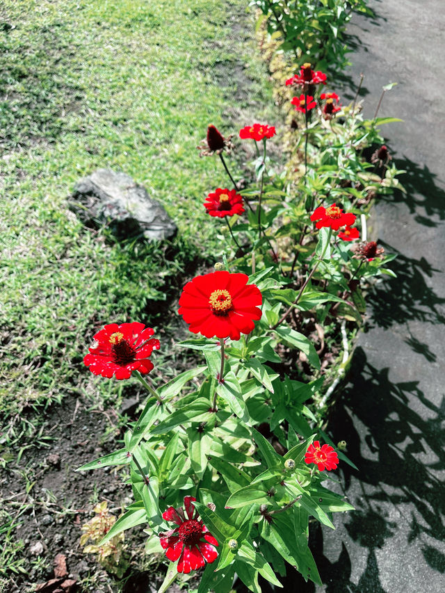 Spring Visit to Batur Hot Spring Garden