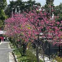 那霸與儀公園（Yogi Park）