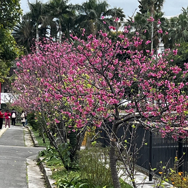 那霸與儀公園（Yogi Park）