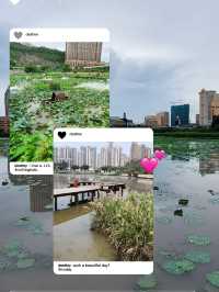 氹仔濕地公園，點都要去一次👍👍👍