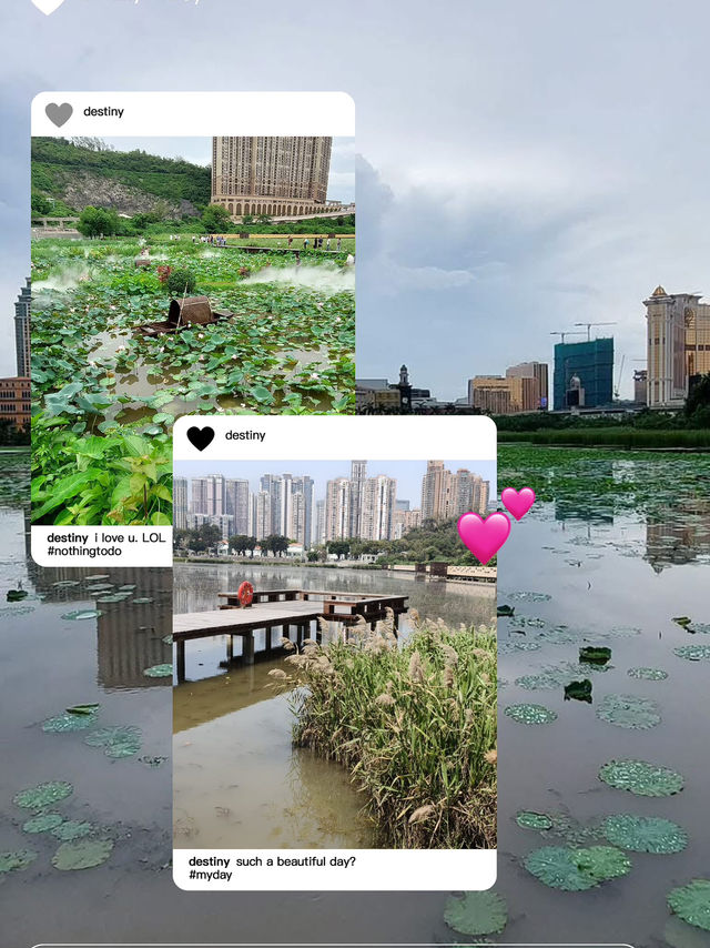 氹仔濕地公園，點都要去一次👍👍👍