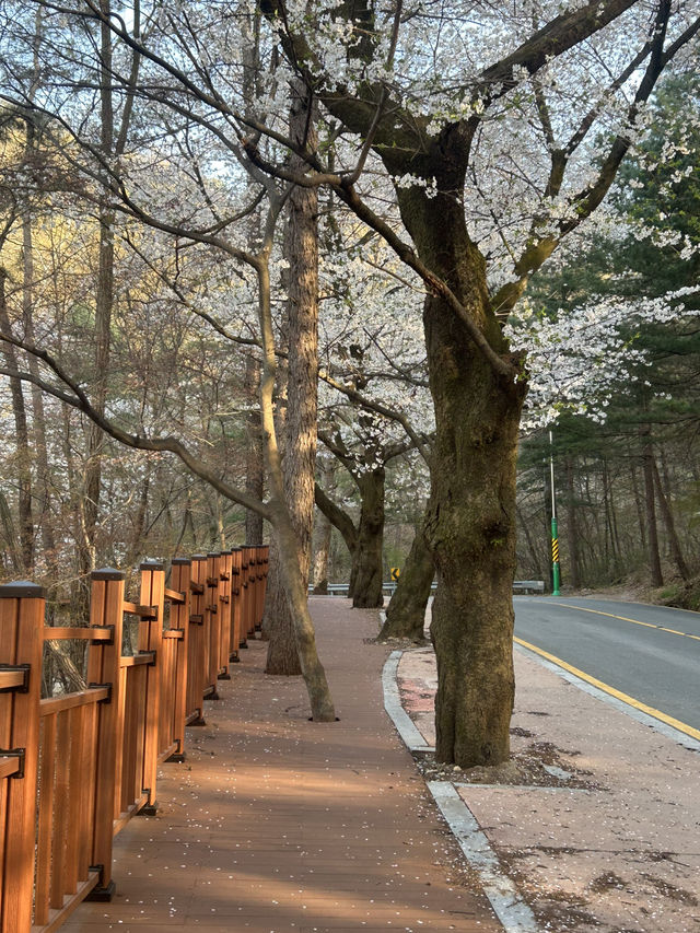 수암골 전망대에서 이어지는 힐링 산책길, 수암골 산책로 🌿