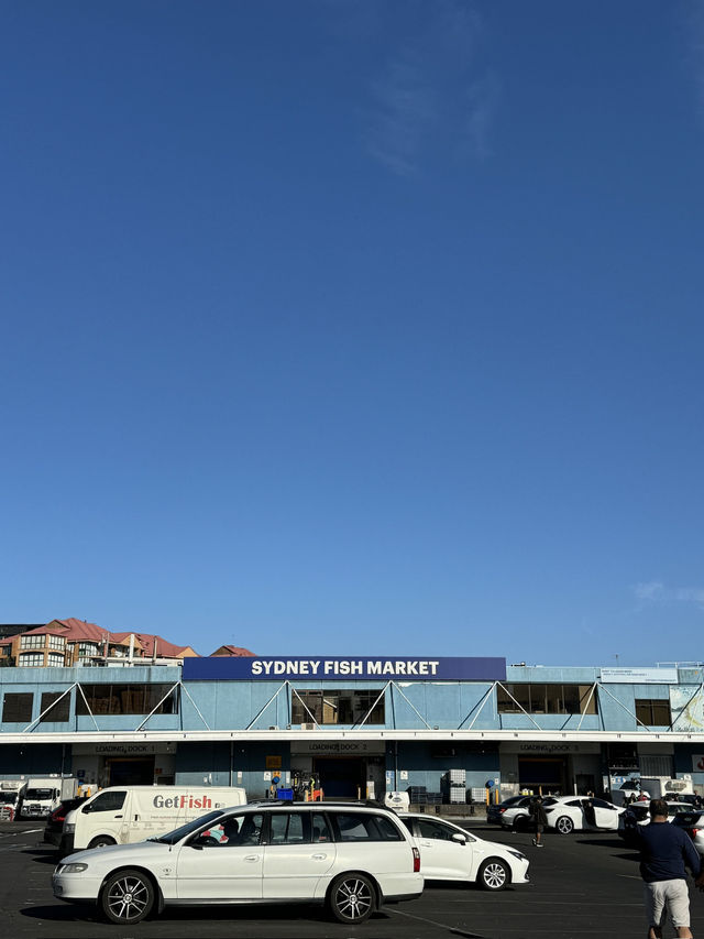 🐟 SydneyFish market