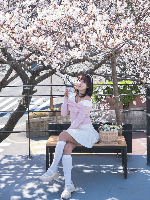 釜山🇰🇷超澎拜櫻花露台咖啡廳🌸
