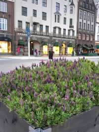 SPRING VIBES IN BRYGGEN (THE WHARF), NORWAY