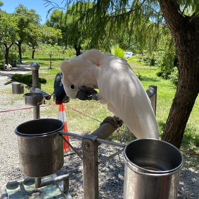 宜蘭小旅行｜穿梭傳藝老街，走進鴨寮日常