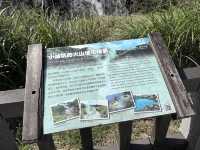 走進地熱的心臟：陽明山小油坑散步日記