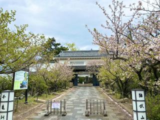 A Historical Gem! Kishiwada Castle: A Must-Visit Spot on Your Journey