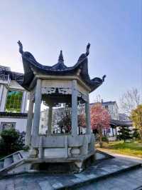 Yue Opera Town: A Celebration of Tradition and Art