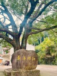 Hongfo Temple: A Sanctuary for Serenity and Scenic Trails