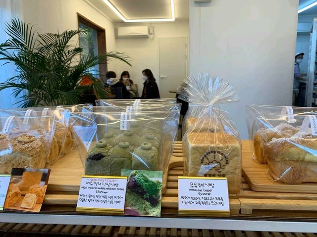 송당의아침