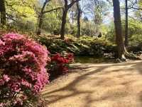 Richmond Park