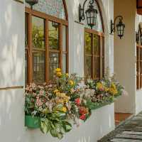 Whimsical Comfort at Nimmies Cafe