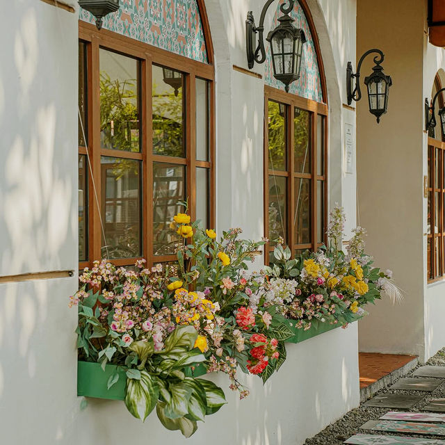 Whimsical Comfort at Nimmies Cafe