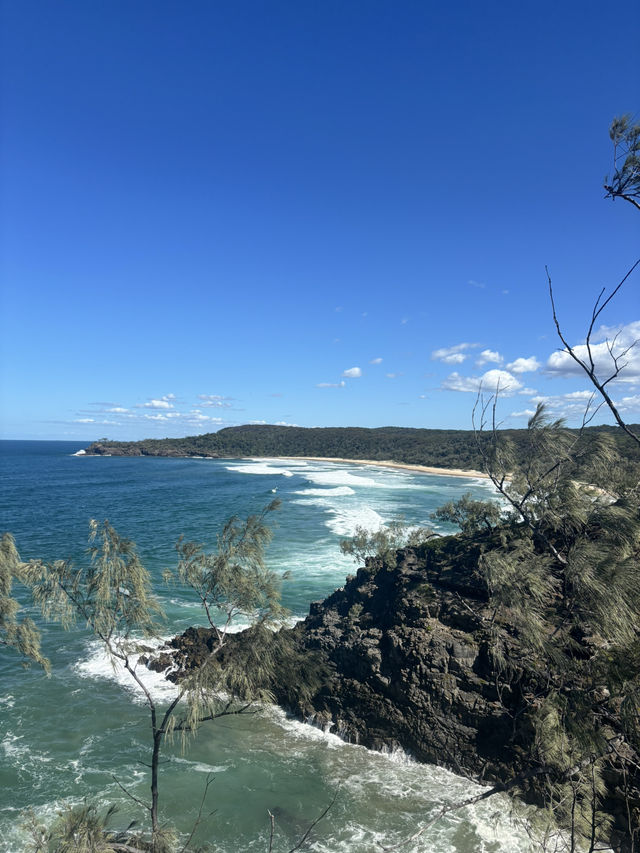 【Noosa National Park（ヌーサ国立公園）】