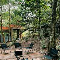 Tranquil Retreat at Hill & Heal Cafe