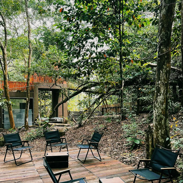 Tranquil Retreat at Hill & Heal Cafe
