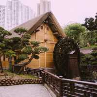 Tranquility Amidst the City: A Visit to Nan Lian Garden