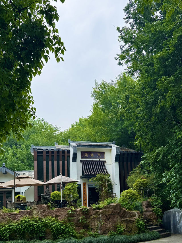 Snapdragons & Serenity: Spring Stroll in Taiziwan Park