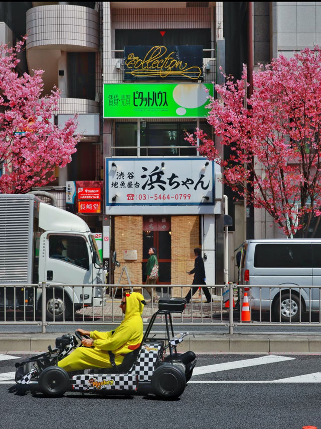 Hidden Cherry Blossom Spot in the Heart of Shibuya, Tokyo – Perfect for a Quick Sakura Fix! 🌸