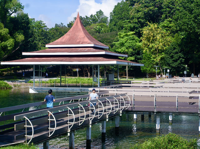 Ditch the City, Go MacRitchie