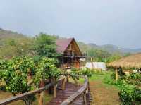 BAANKHAOFAE บ้านข้าวเฟ่