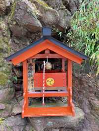 【日光】GWに行きたい!!縁結びスポットで良縁パワーを授かろう!!