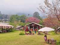 คาเฟ่บรรยากาศดีที่เชียงใหม่