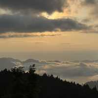 阿里山自助2天1夜超順行程分享！🌄🚂