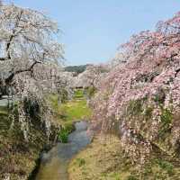 花の波が押し寄せるような景色