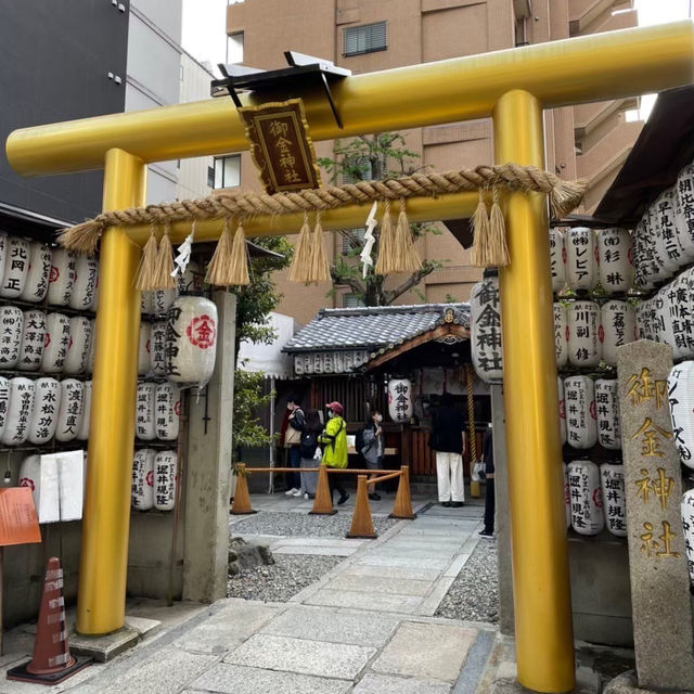 🇯🇵 【京都】金色の鳥居✨御金神社⛩️