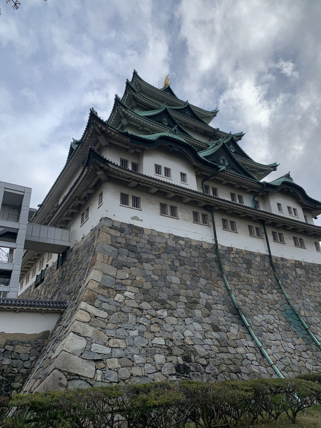 나고야 여행일정 총정리🇯🇵🥢🍣🍜