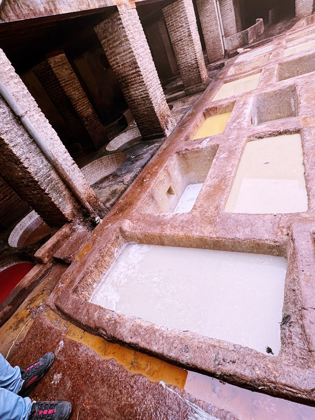 Stepping Into a Living Canvas: My First Visit to the Fes, Morocco Tannery 🇲🇦