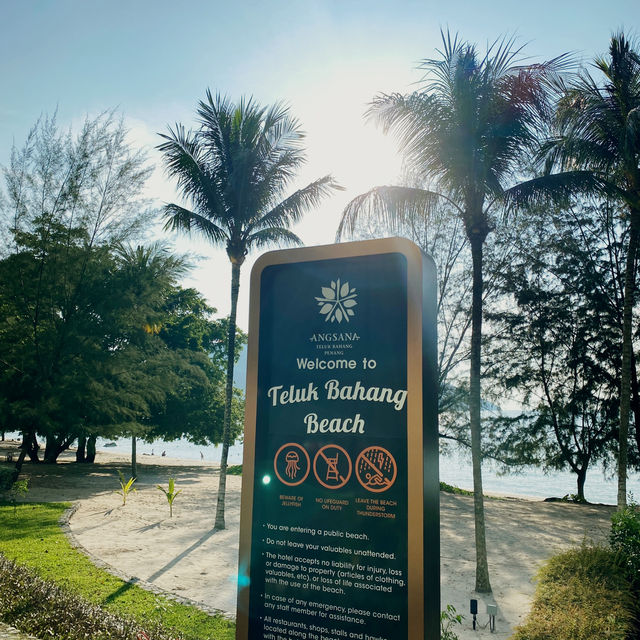 Angsana Teluk Bahang