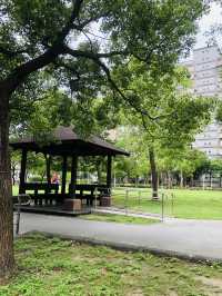 一個舒適的休憩公園🥳