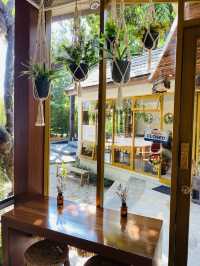 ร้าน MUUSE cafe x bar คาเฟ่สายชิล เชียงราย