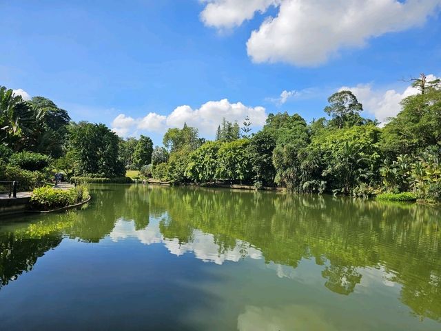 Strolling at Symphony Lake, Singapore Botanic Gardens