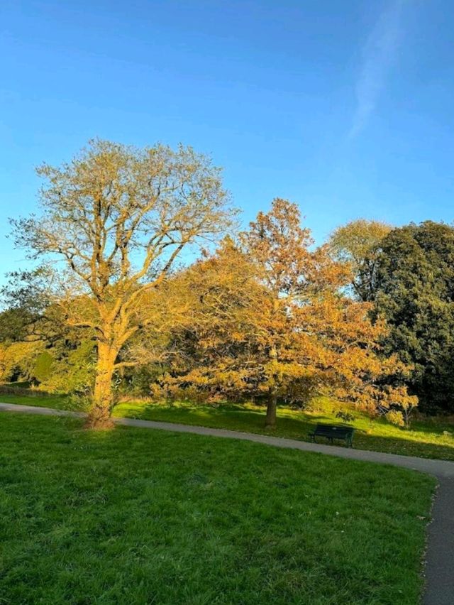 Hove Park