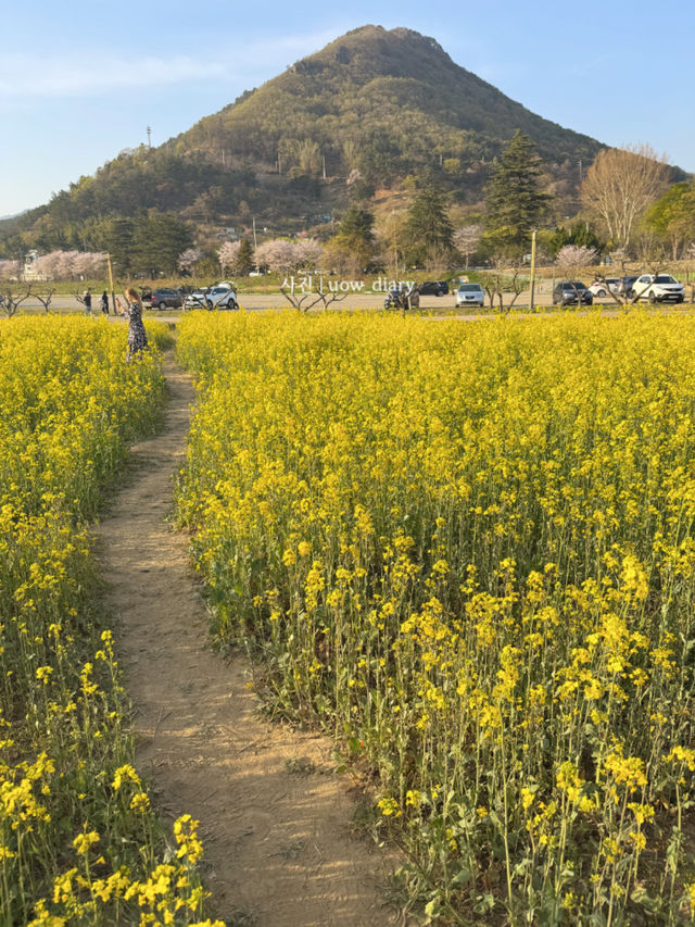 가족 피크닉 하기 좋은 양산 근교공원은 요기 🍀🌱