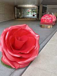 KIOI ROSE WEEK 2025 – Blooming Beauty in the City