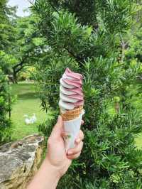 Mulberry Mellow เขียวขจีหลังฝนตก
