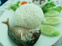 คาเฟ่นาเกลือแห่งแรกในประเทศไทย!!