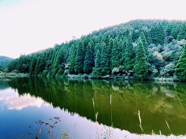 中國浙江麗水著名景點：龍泉山景區，適合打卡拍照📸