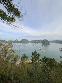 🇻🇳 Halong Bay – Part 2: Light, Stone, and Water — A Landscape That Changes You 🌊⛰