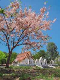 หน้าวัดไตรรัตนาราม อ.ไทรโยค กาญจนบุรี
