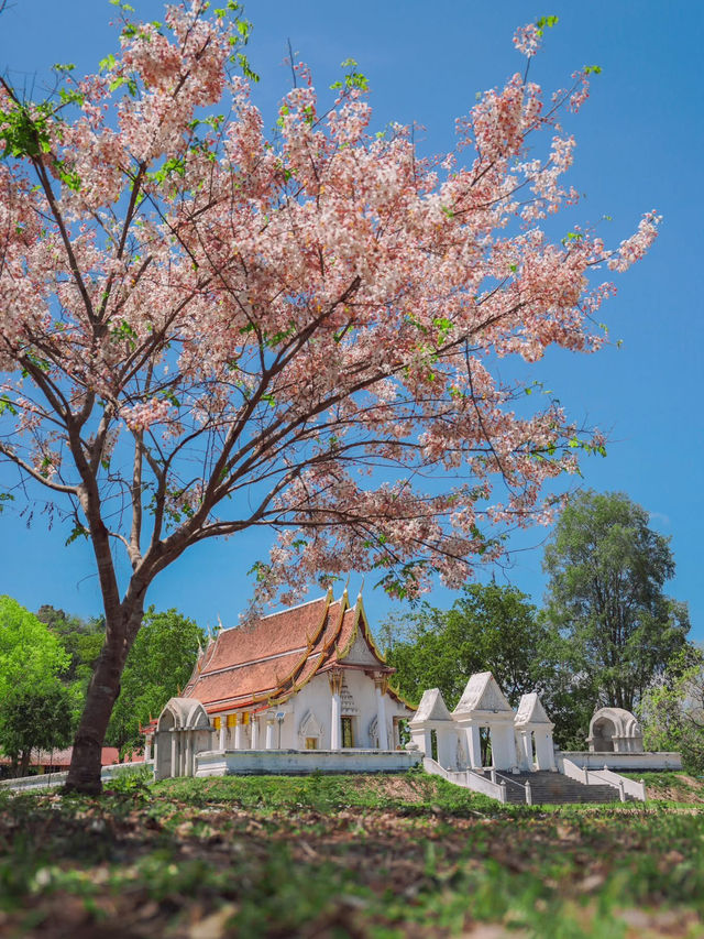 หน้าวัดไตรรัตนาราม อ.ไทรโยค กาญจนบุรี