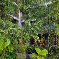 The Habita Hatyai 