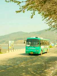 Incheon: Korea’s Coastal Gateway in Full Bloom