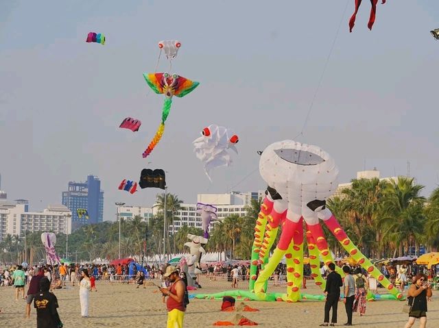 Pattaya Pulse – Where the City Meets the Sea