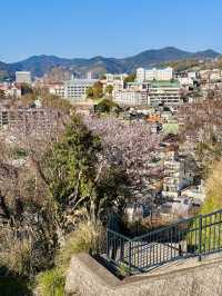 Rising Into Spring: Sakura by Sky at Glover Garden